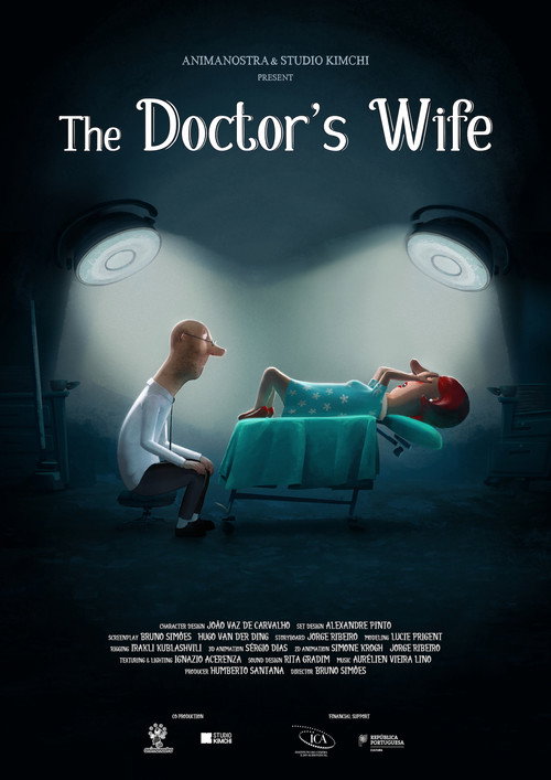 Movie poster for The Doctor's Wife (2021)