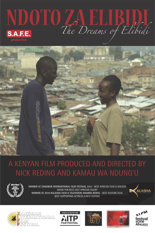 Movie poster for The Dreams of Elibidi (2010)