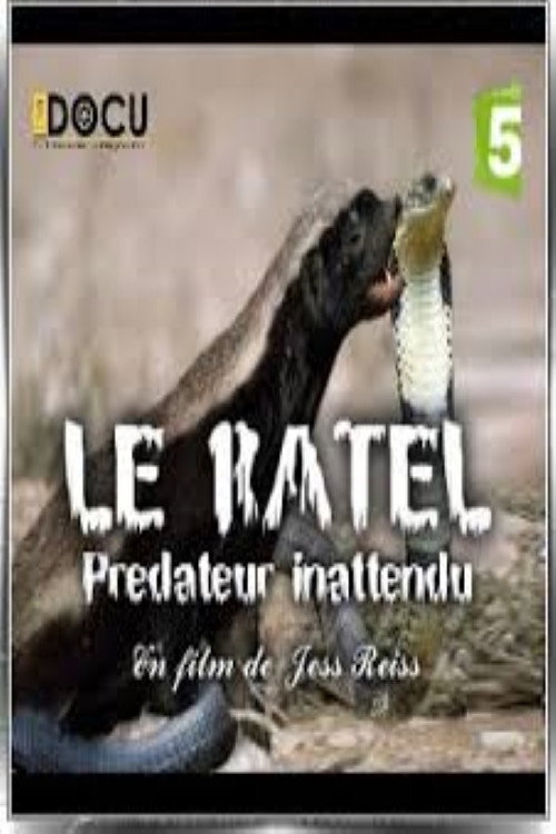 Movie poster for Le ratel prédateur inattendu (2017)