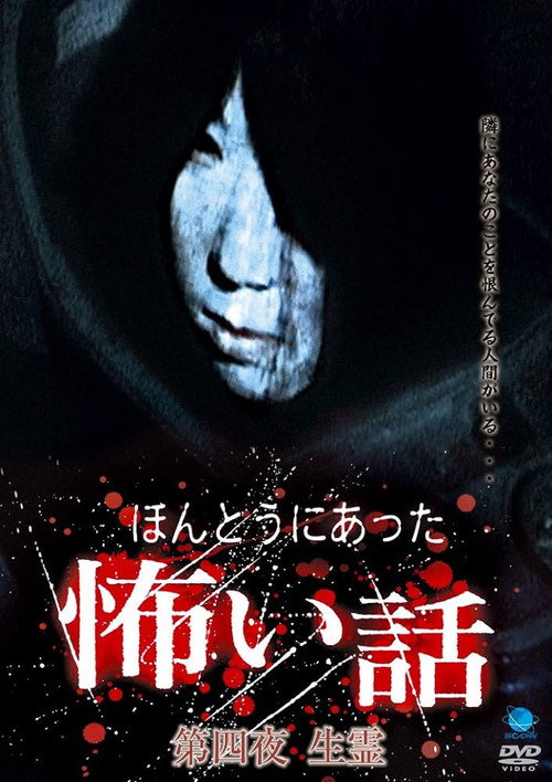 Movie poster for Scary True Stories: Night 4 - Living Spirit (2005)