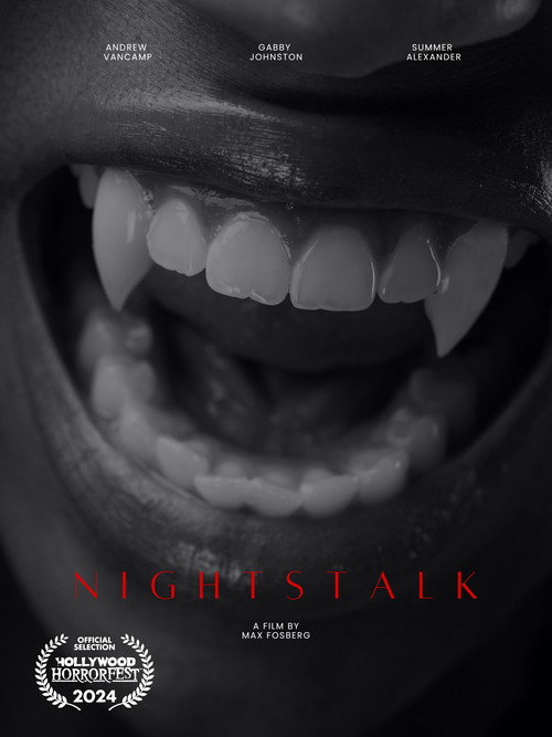 Movie poster for Nightstalk (2024)
