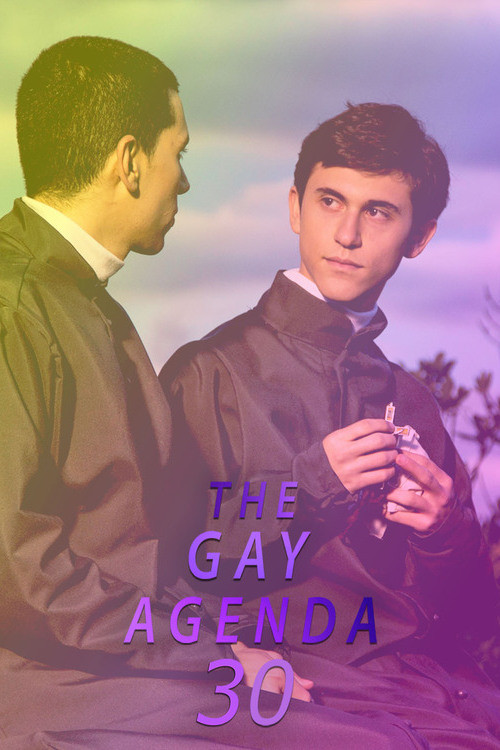 Movie poster for The Gay Agenda 30 (2024)