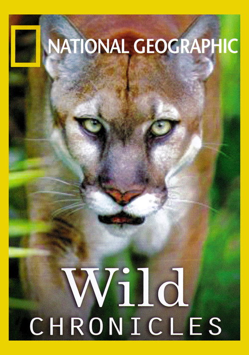 Series poster for Wild Chronicles (2005)