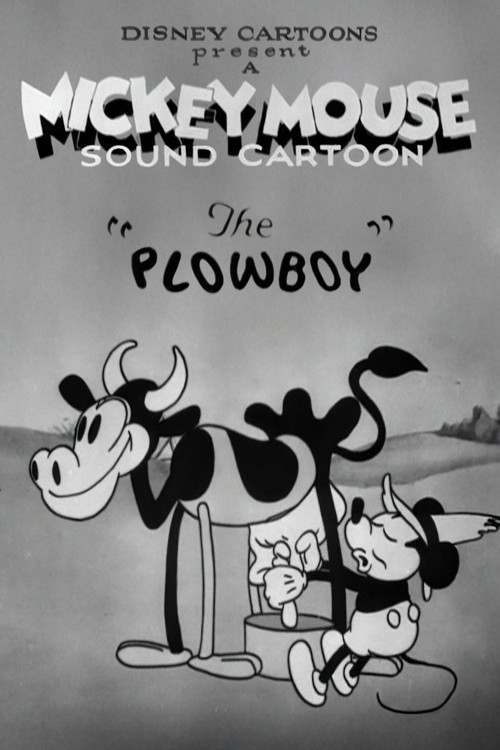 Movie poster for The Plowboy (1929)