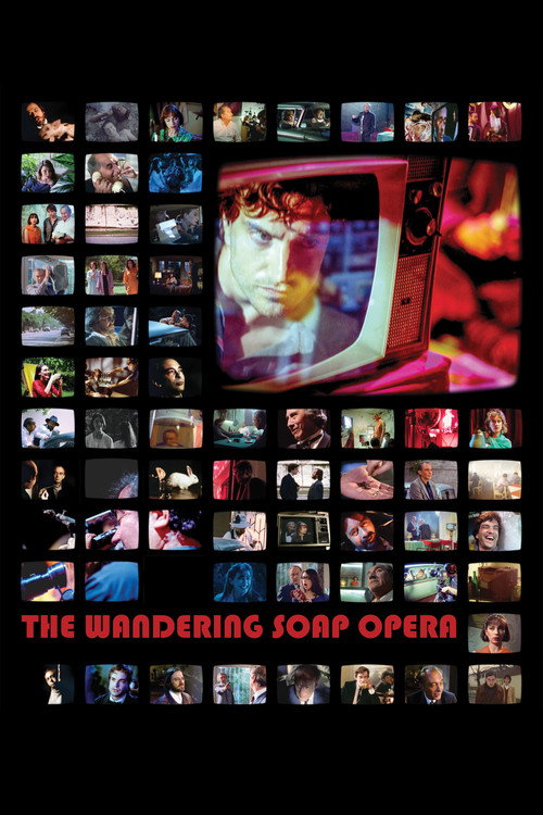 Movie poster for The Wandering Soap Opera (2018)