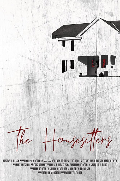 Movie poster for The Housesitters (2019)
