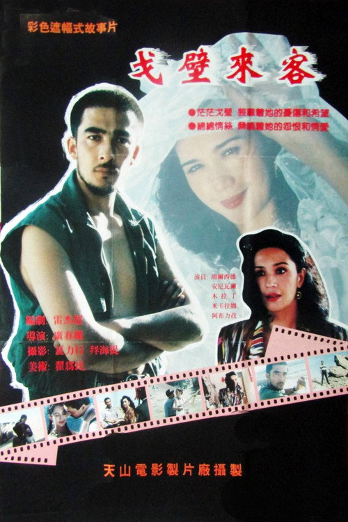 Movie poster for Gobi Visitors (1995)
