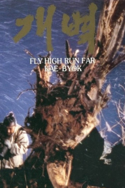 Movie poster for Fly High, Run Far (1991)