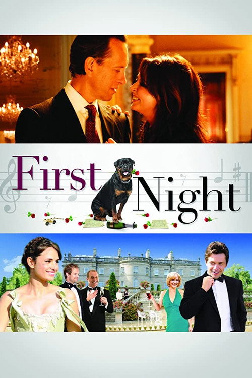 Movie poster for First Night (2010)