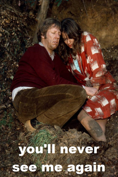 Movie poster for You'll Never See Me Again (1973)