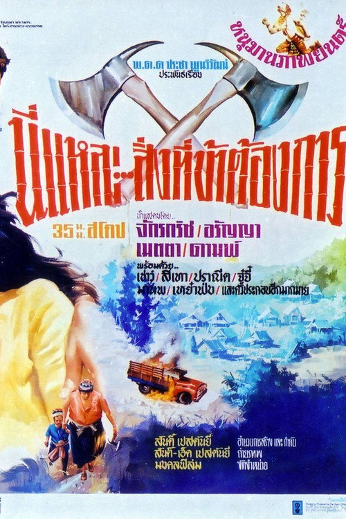 Movie poster for This Is It... What I Need! (1973)