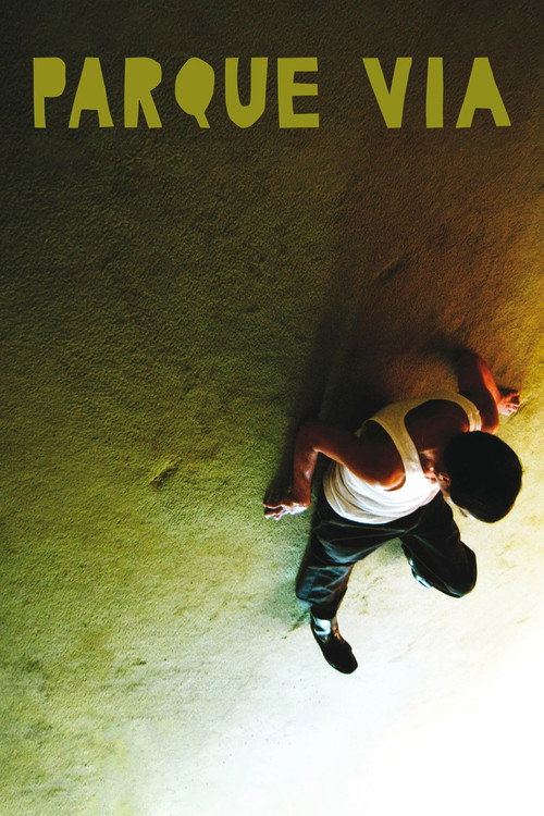 Movie poster for Via Park (2008)