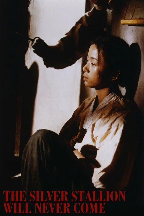 Movie poster for The Silver Stallion Will Never Come (1991)