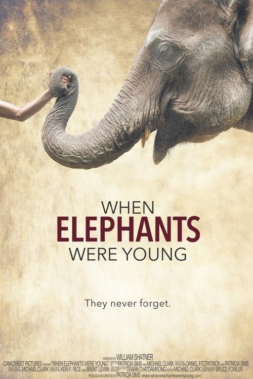 Movie poster for When Elephants Were Young (2016)