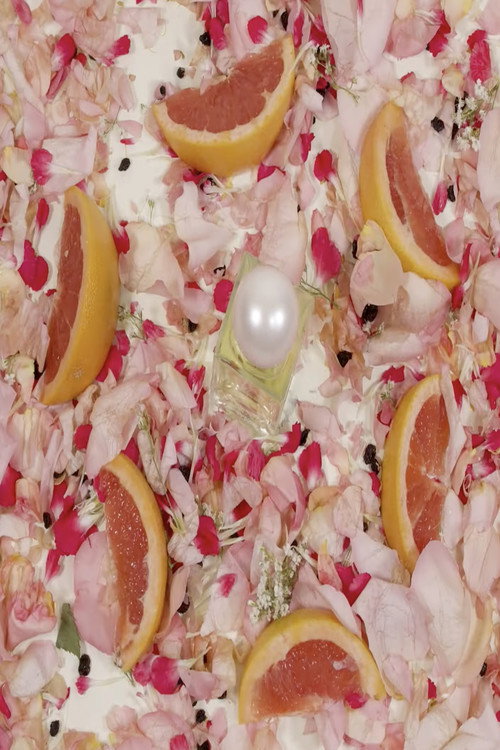 Movie poster for Régime des Fleurs Chloë Sevigny Little Flower (2019)