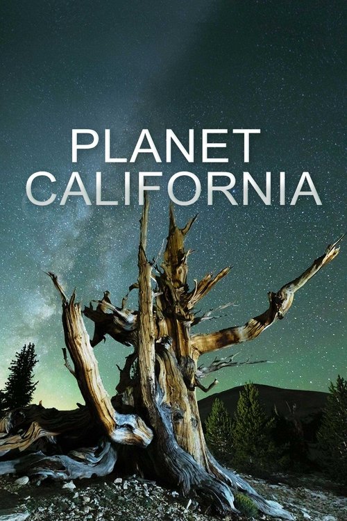 Series poster for Planet California (2022)