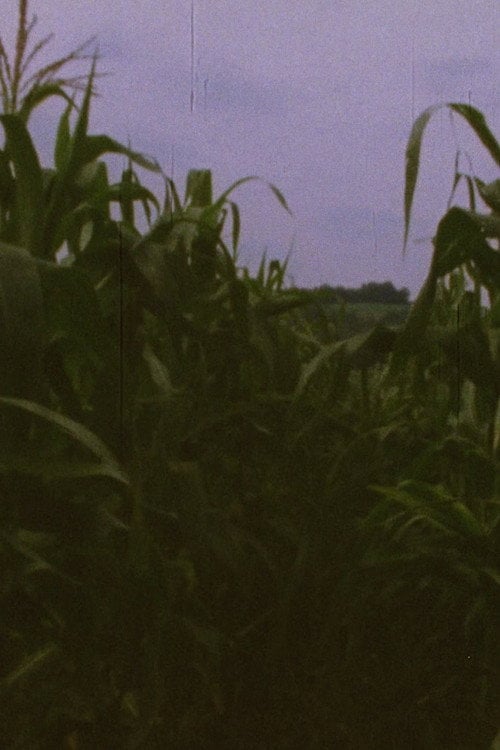 Movie poster for Pan 3 (1974)