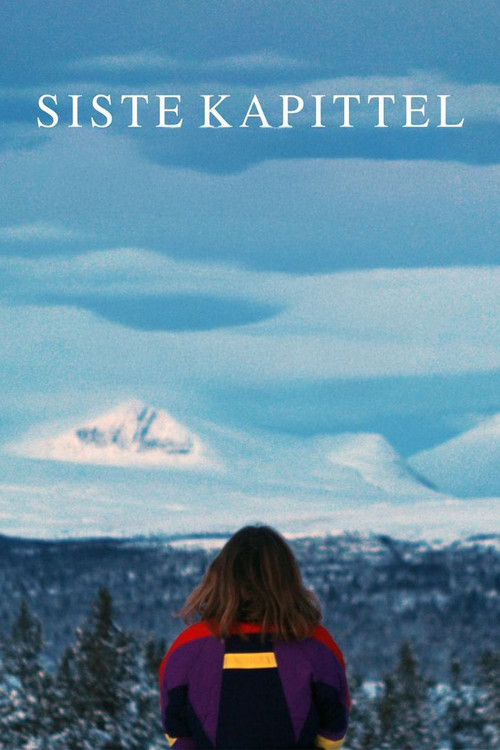 Movie poster for The Final Chapter (2024)