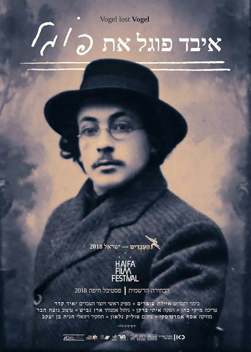 Movie poster for Vogel Lost Vogel (2018)