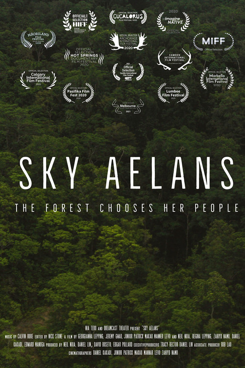 Movie poster for Sky Islands (2021)
