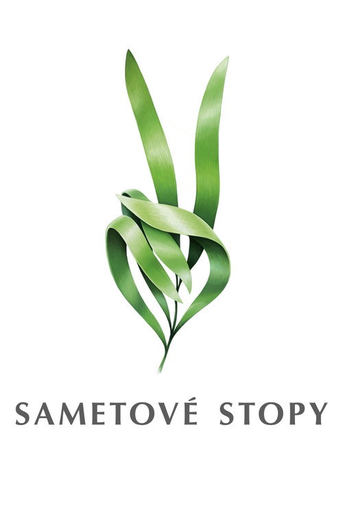 Series poster for Sametové stopy (2019)