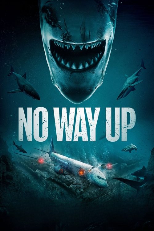 Movie poster for No Way Up (2024)