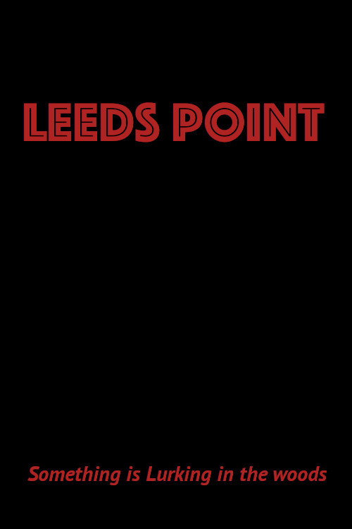Movie poster for Leeds Point (2008)