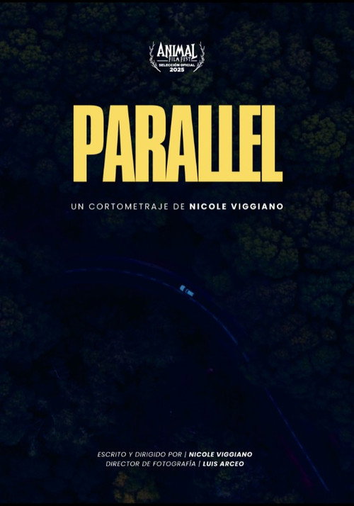 Movie poster for Parallel (2025)