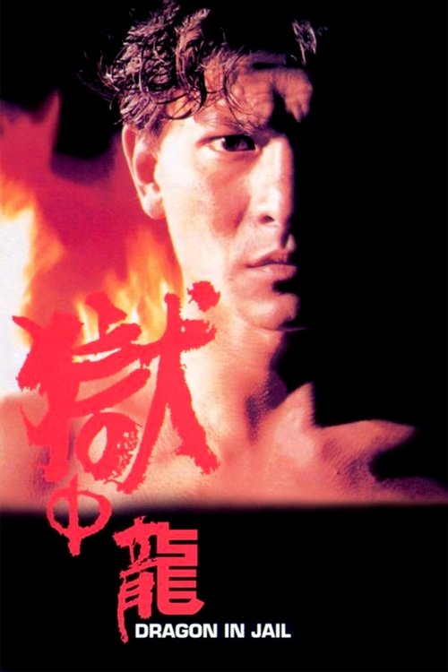 Movie poster for Dragon in Jail (1990)