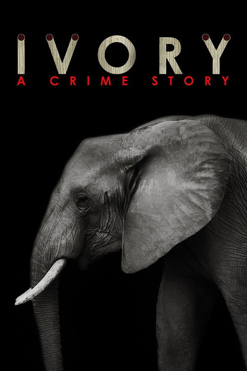 Movie poster for Ivory. A Crime Story (2016)