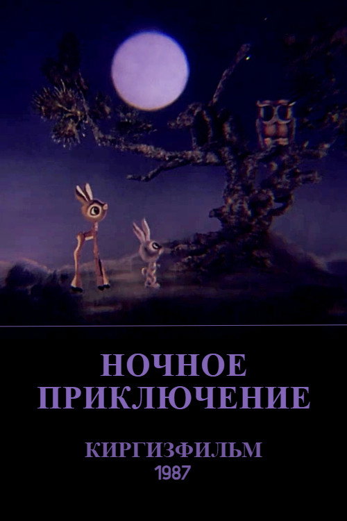 Movie poster for The Nighttime Adventure (1987)