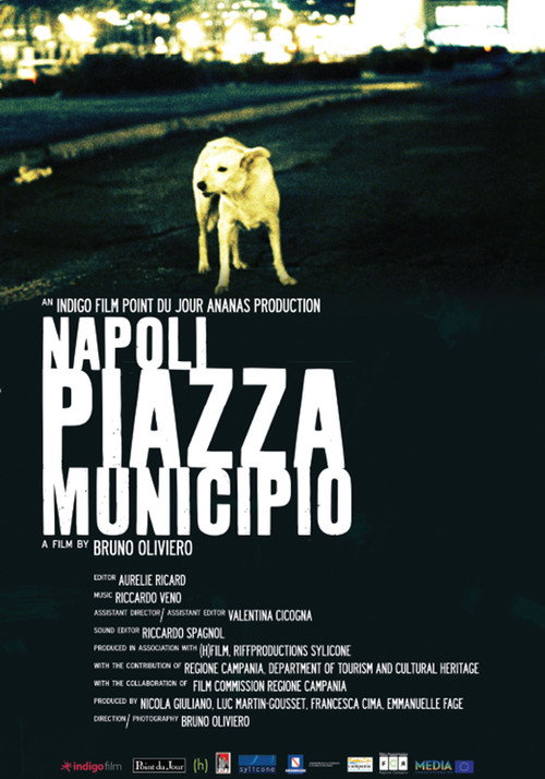 Movie poster for Napoli Piazza Municipio