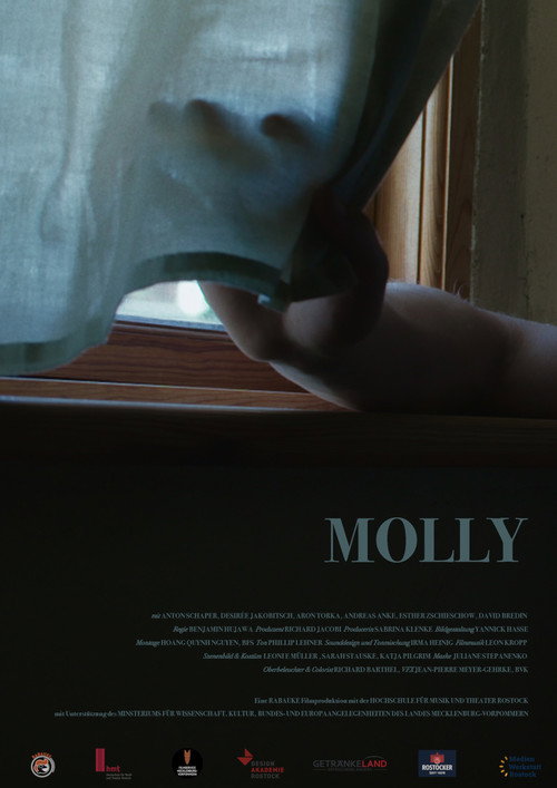 Movie poster for Molly (2025)