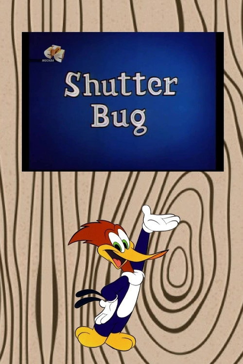 Movie poster for Shutter Bug (1963)
