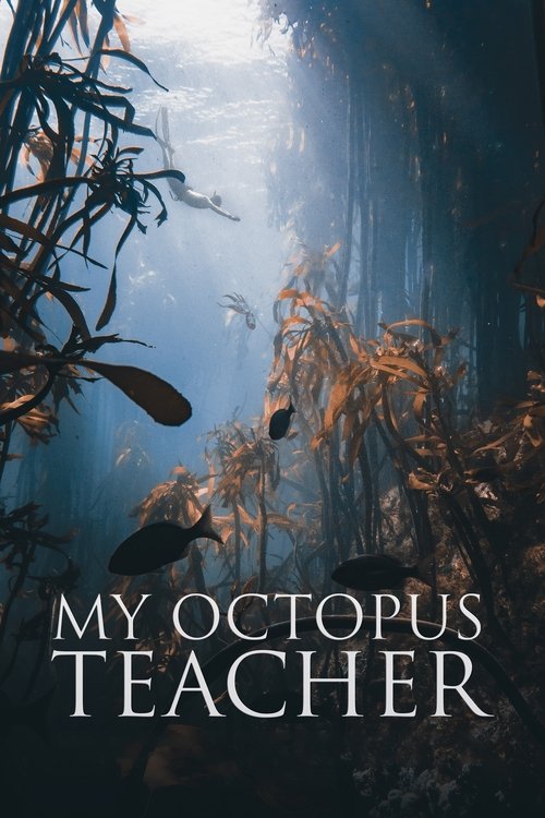 Movie poster for My Octopus Teacher (2020)