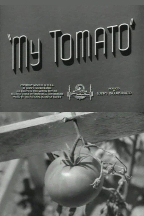 Movie poster for My Tomato (1943)