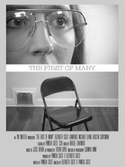 Movie poster for The First of Many (2017)