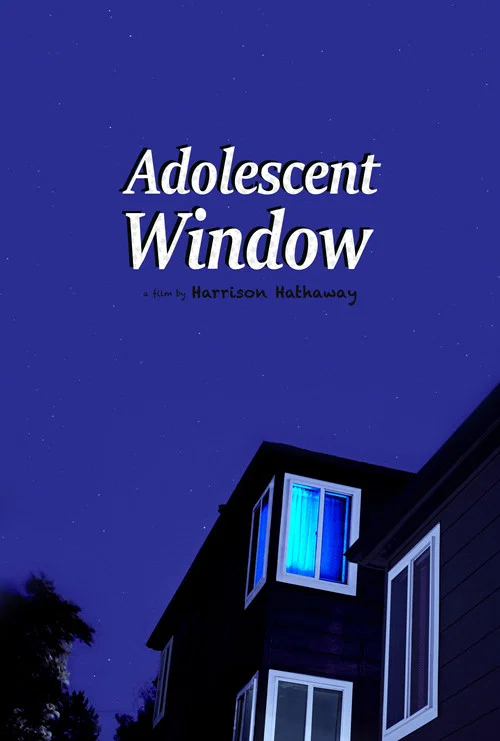 Movie poster for Adolescent Window (2025)