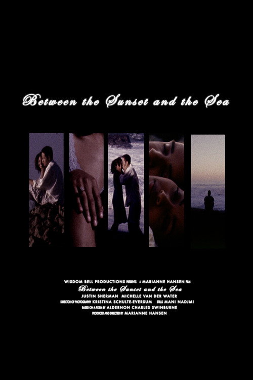 Movie poster for Between the Sunset and the Sea (2007)