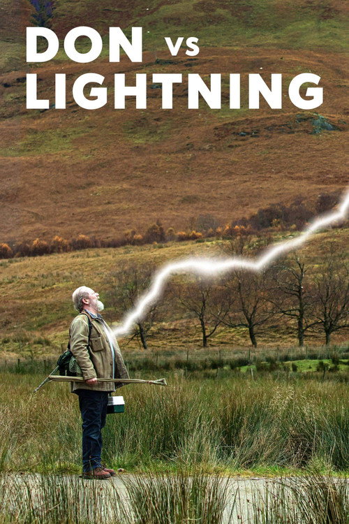 Movie poster for Don vs Lightning (2021)