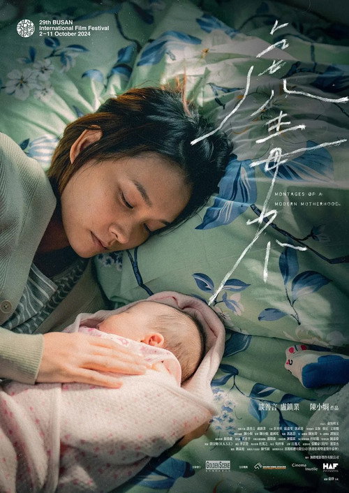 Movie poster for Montages of a Modern Motherhood (2025)