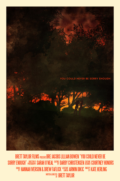Movie poster for You Could Never Be Sorry Enough (2020)