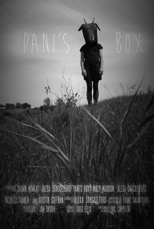 Movie poster for Pani's Box (2013)