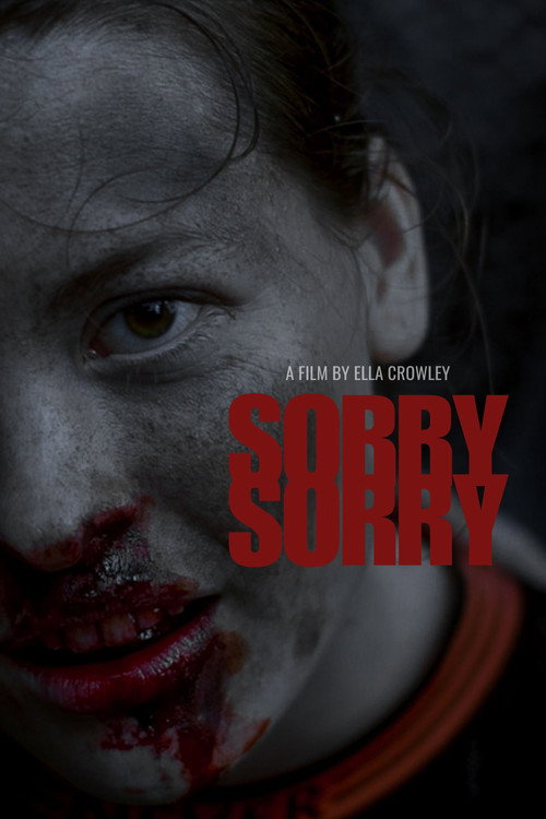 Movie poster for Sorry Sorry (2024)