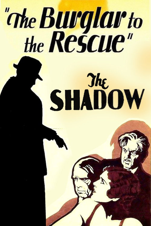 Movie poster for A Burglar to the Rescue (1931)