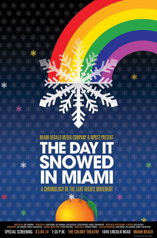 Movie poster for The Day it Snowed in Miami (2014)