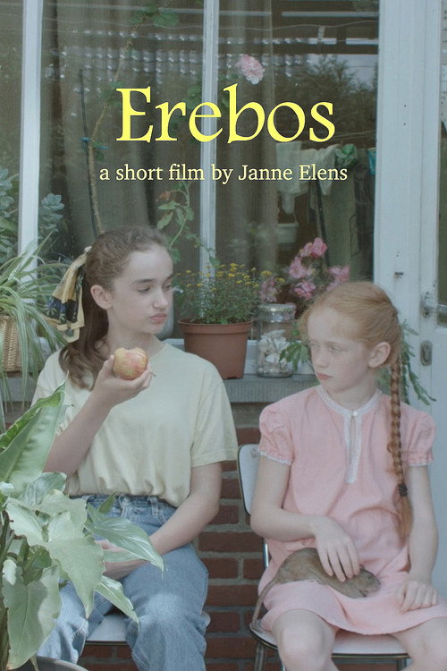 Movie poster for Erebos (2017)