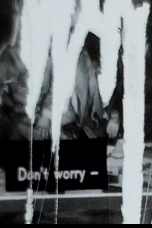 Movie poster for Don't worry— (2024)