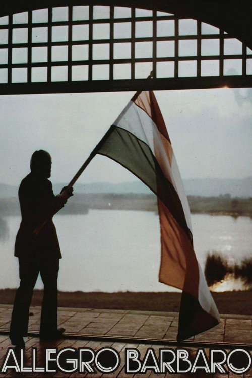 Movie poster for Allegro Barbaro (1979)