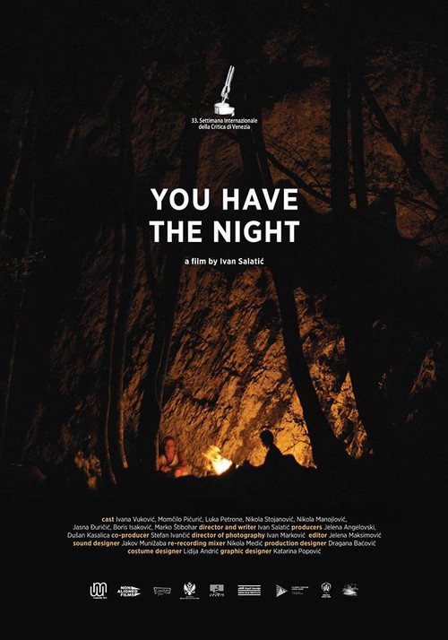 Movie poster for You Have the Night (2018)
